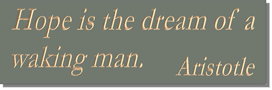 Hope is the dream of a waking man  Aristotle